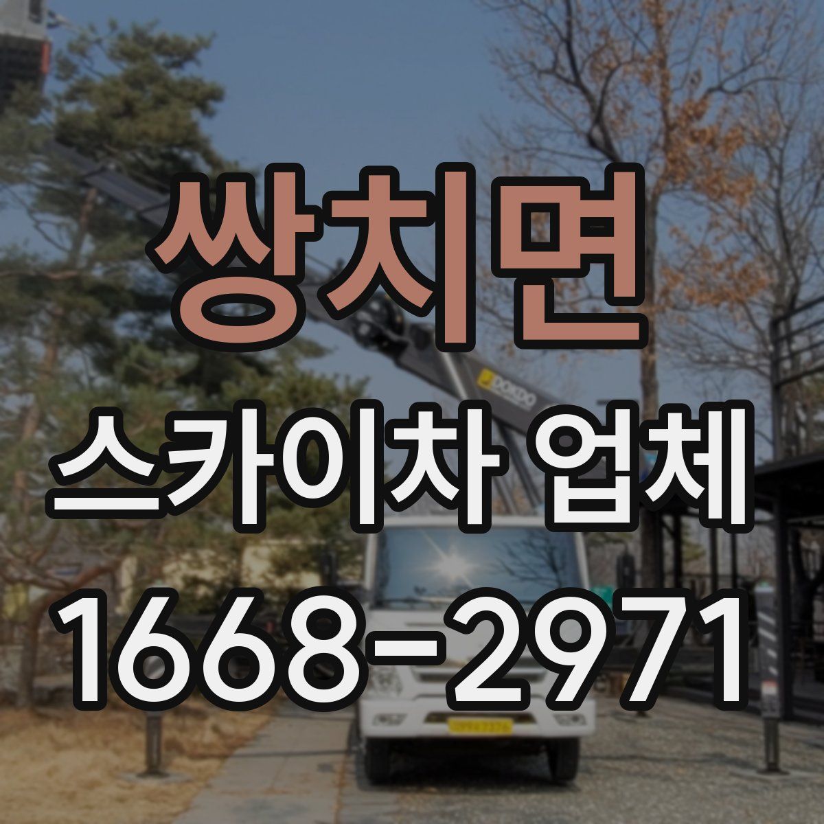 쌍치면 스카이차 업체