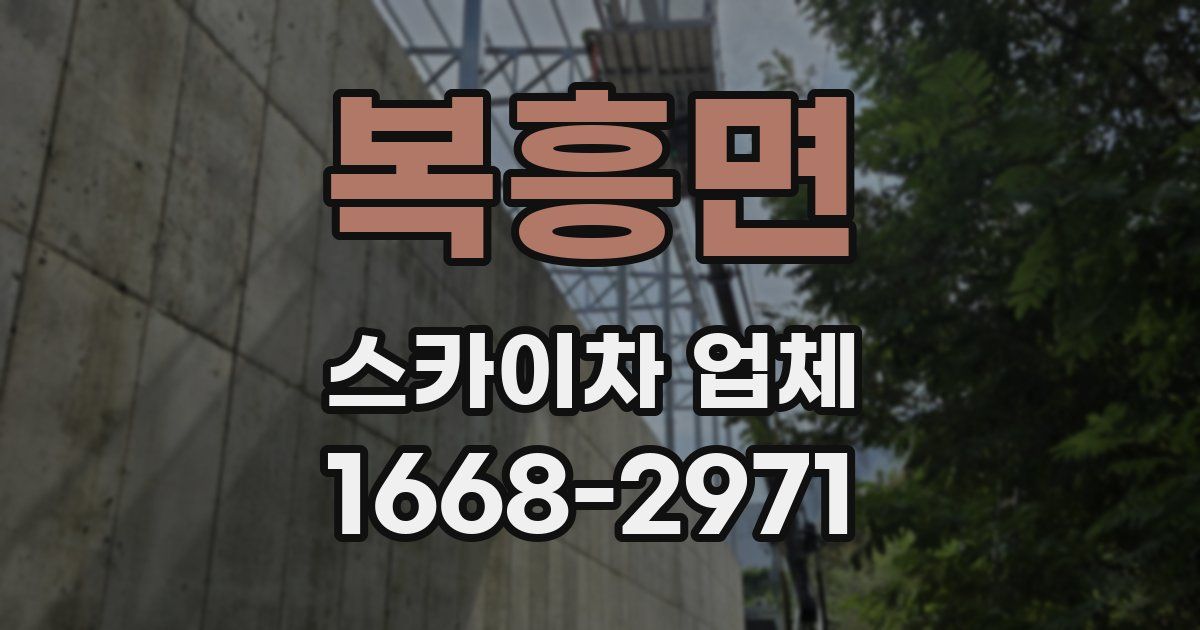 복흥면 스카이차 업체