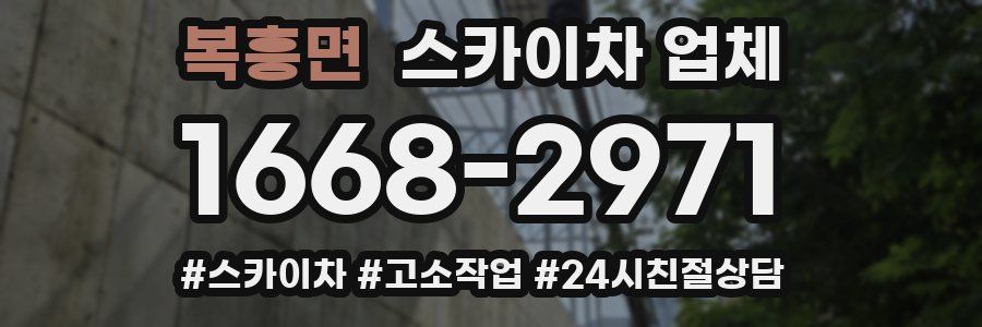 복흥면 스카이차 업체