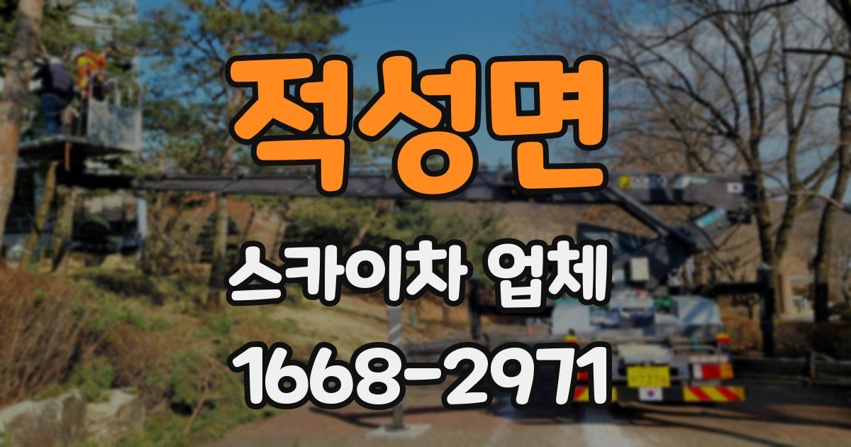 적성면 스카이차 업체