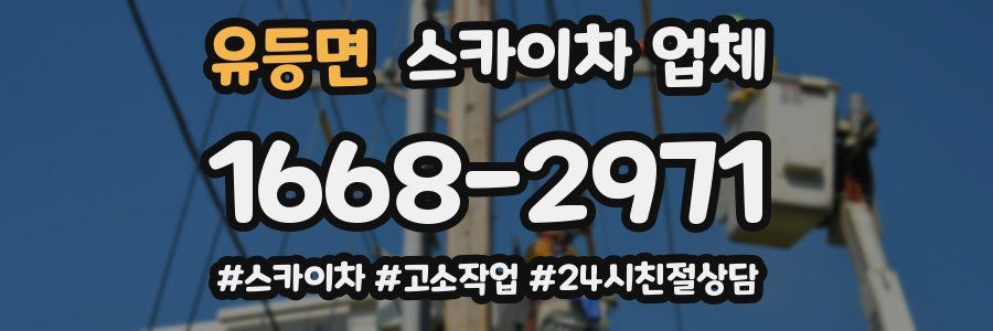 유등면 스카이차 업체