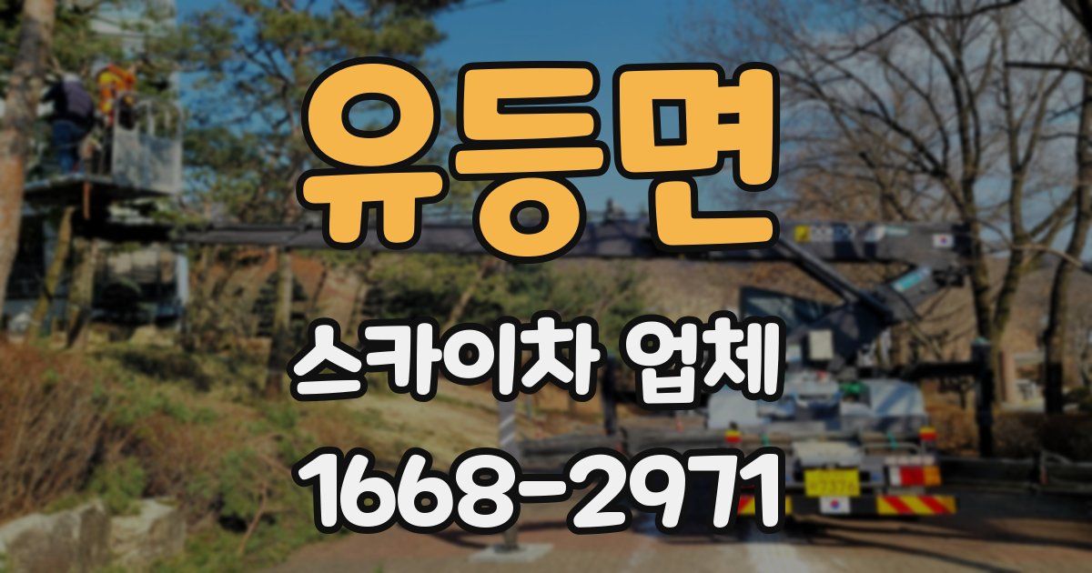 유등면 스카이차 업체