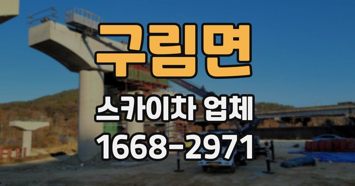 구림면 스카이차 업체