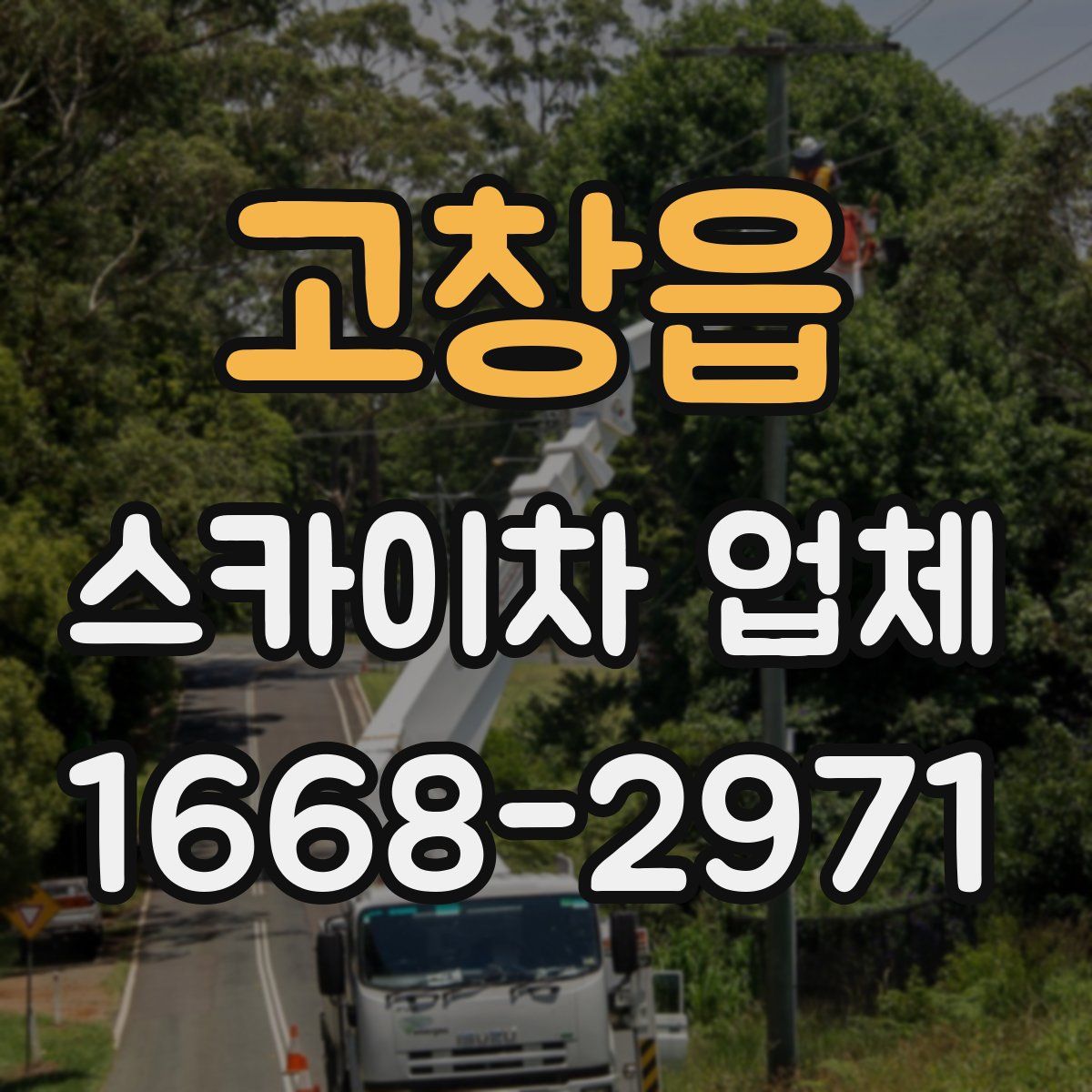 고창읍 스카이차 업체