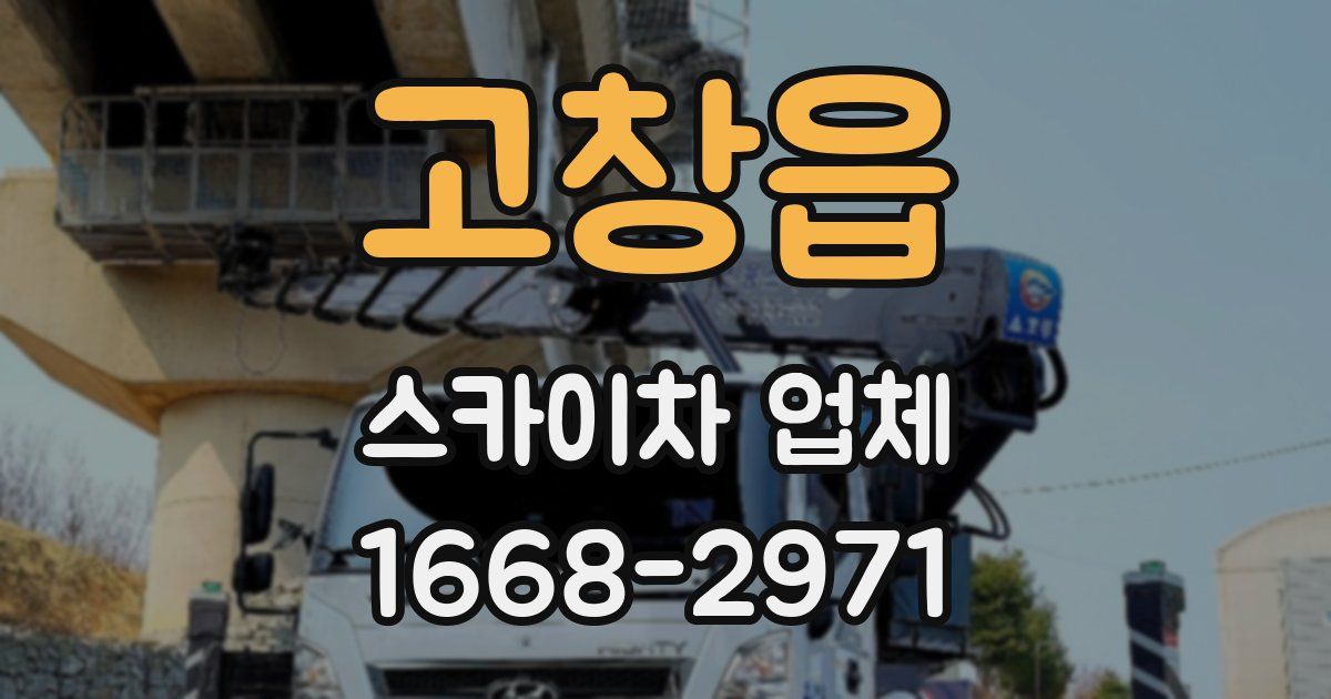 고창읍 스카이차 업체