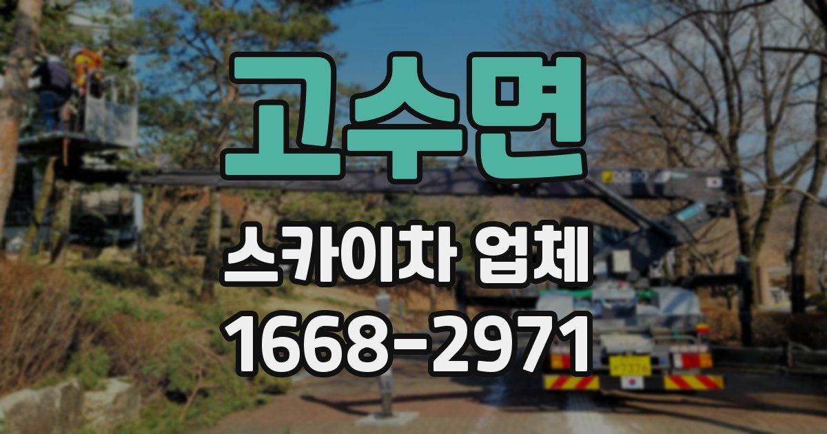 고수면 스카이차 업체