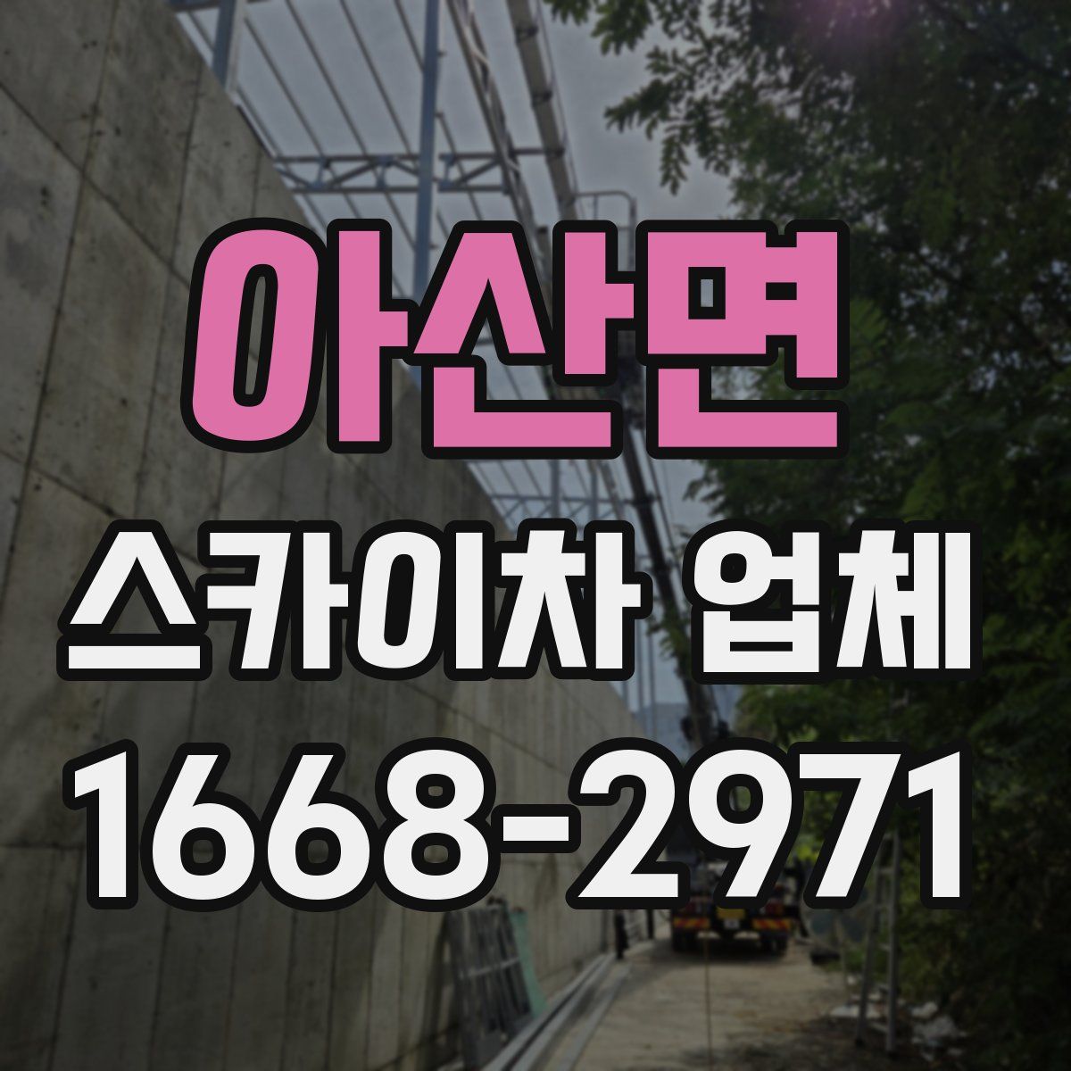 아산면 스카이차 업체