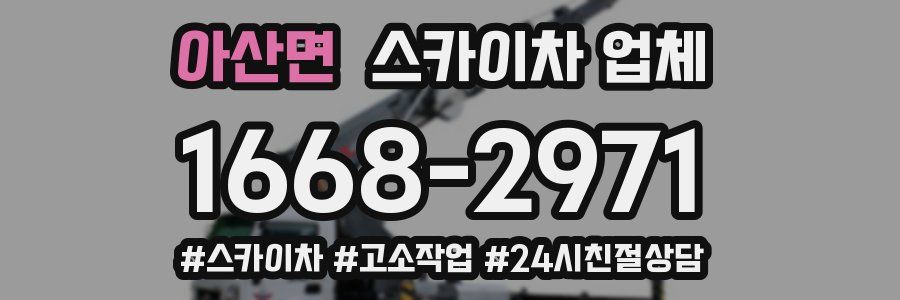 아산면 스카이차 업체