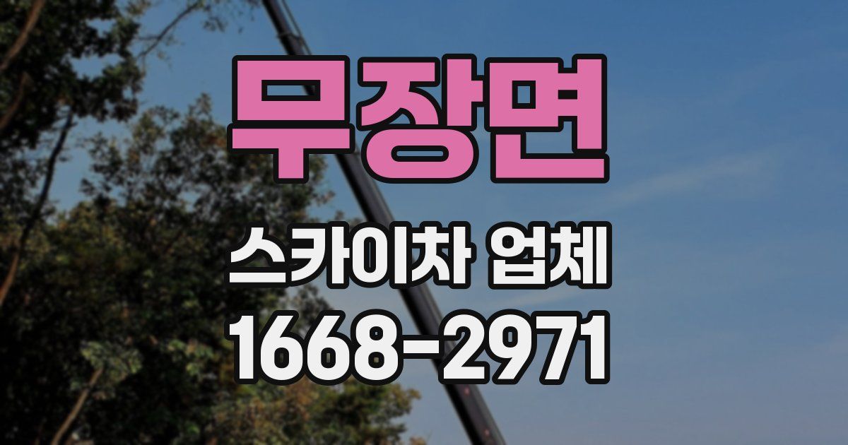 무장면 스카이차 업체