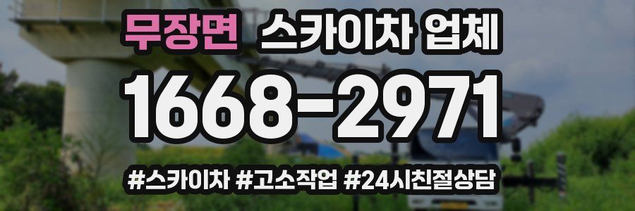 무장면 스카이차 업체