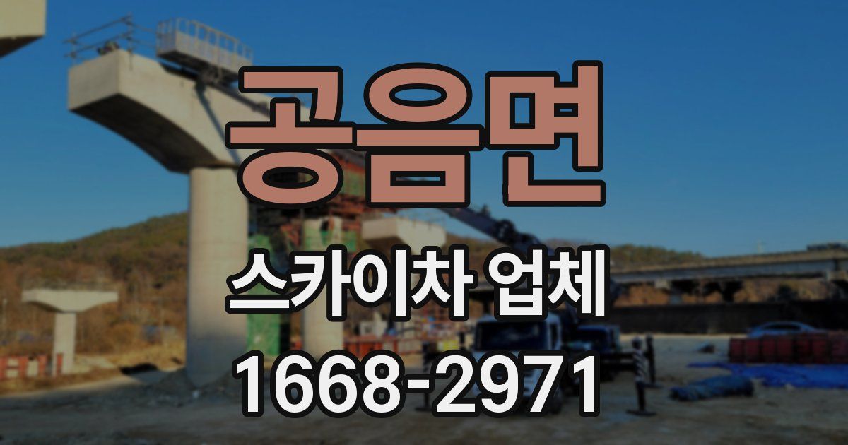 공음면 스카이차 업체