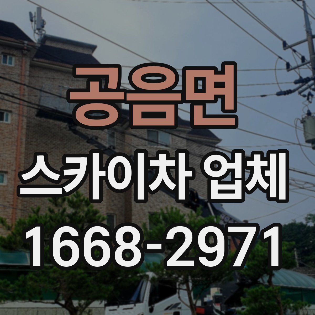 공음면 스카이차 업체