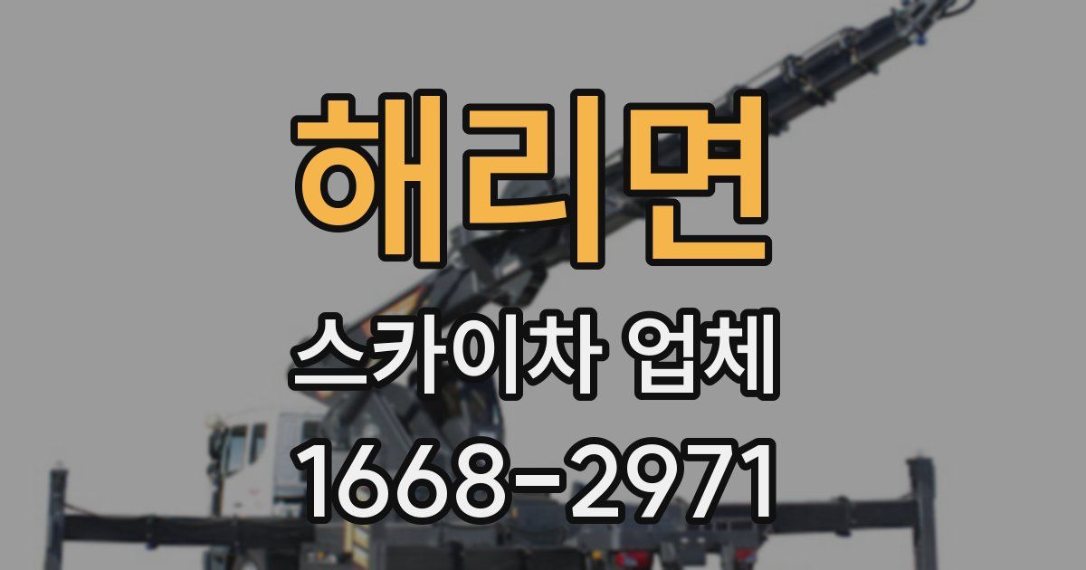 해리면 스카이차 업체