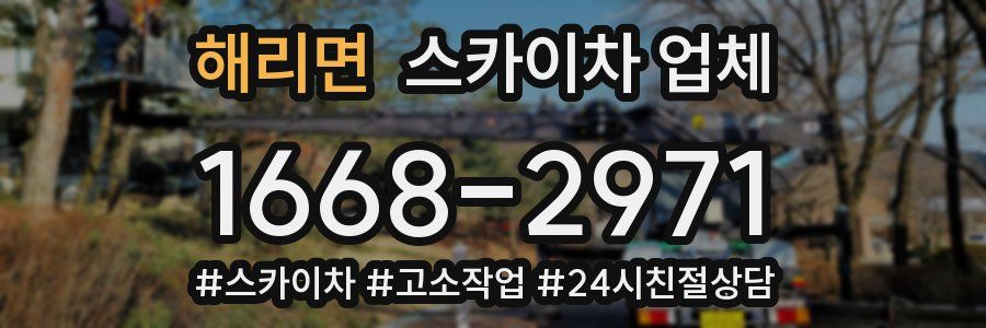 해리면 스카이차 업체