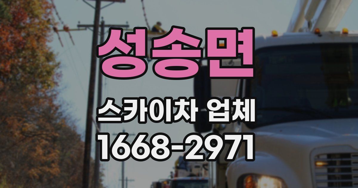 성송면 스카이차 업체