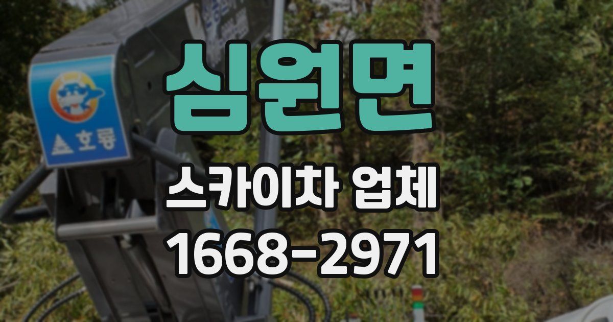 심원면 스카이차 업체
