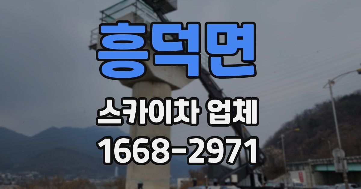 흥덕면 스카이차 업체