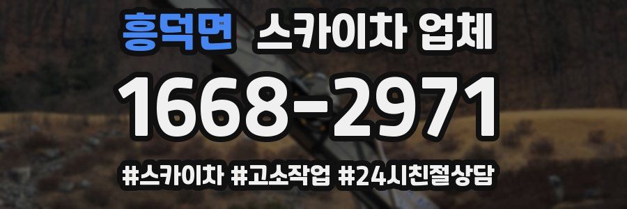 흥덕면 스카이차 업체