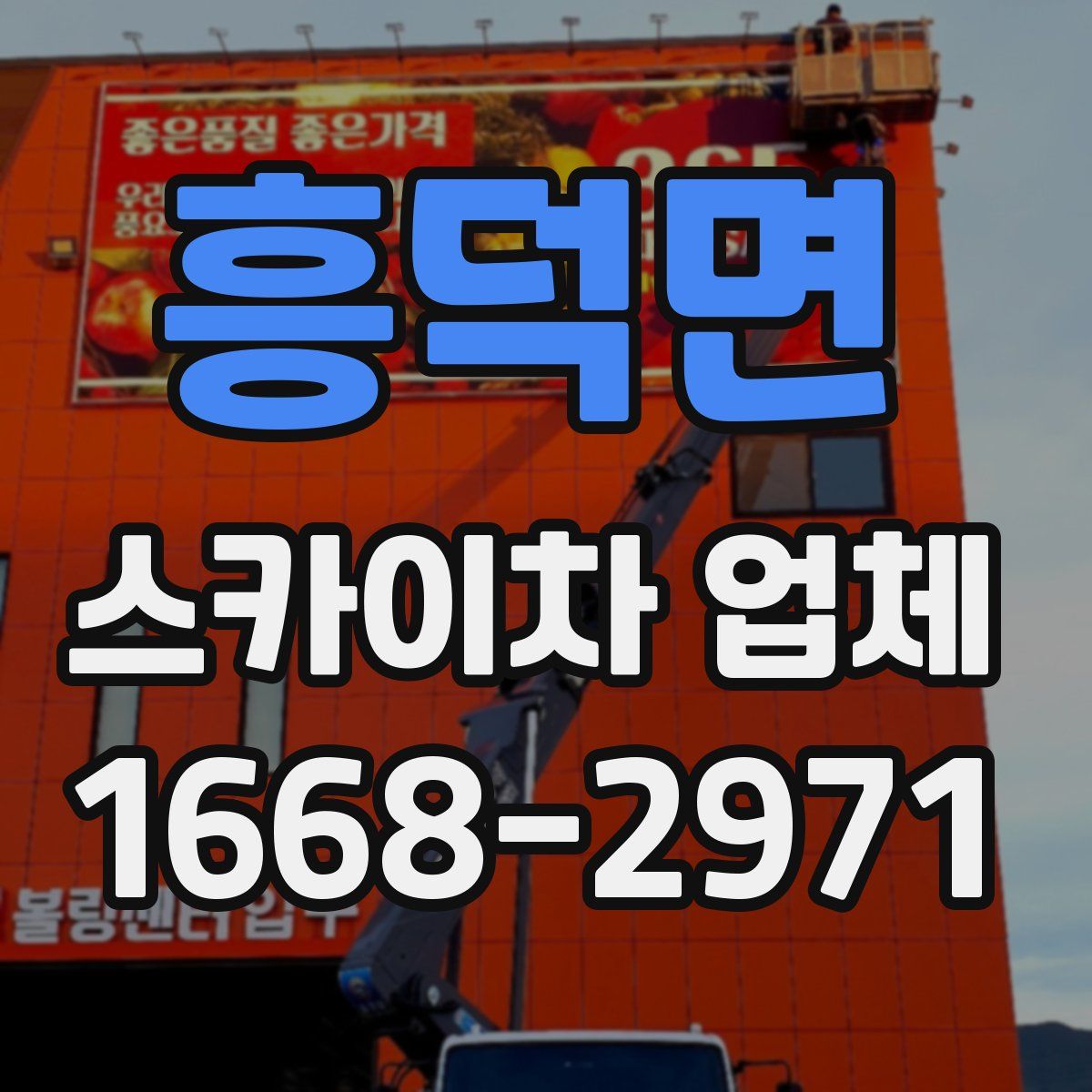 흥덕면 스카이차 업체