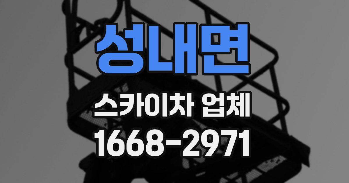 성내면 스카이차 업체