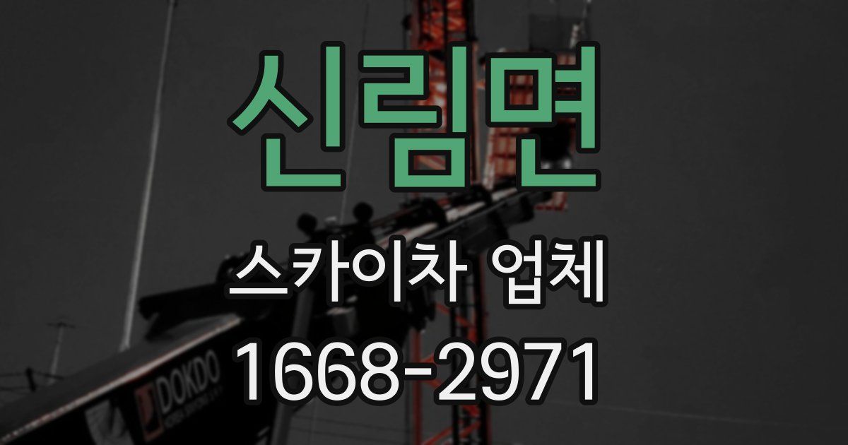 신림면 스카이차 업체