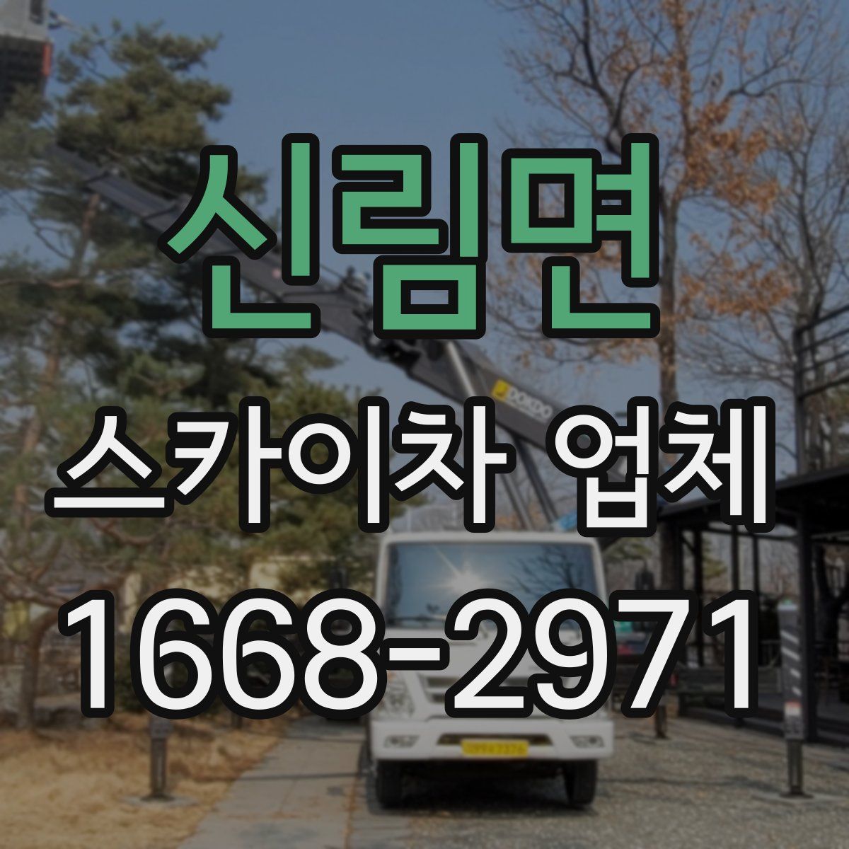 신림면 스카이차 업체