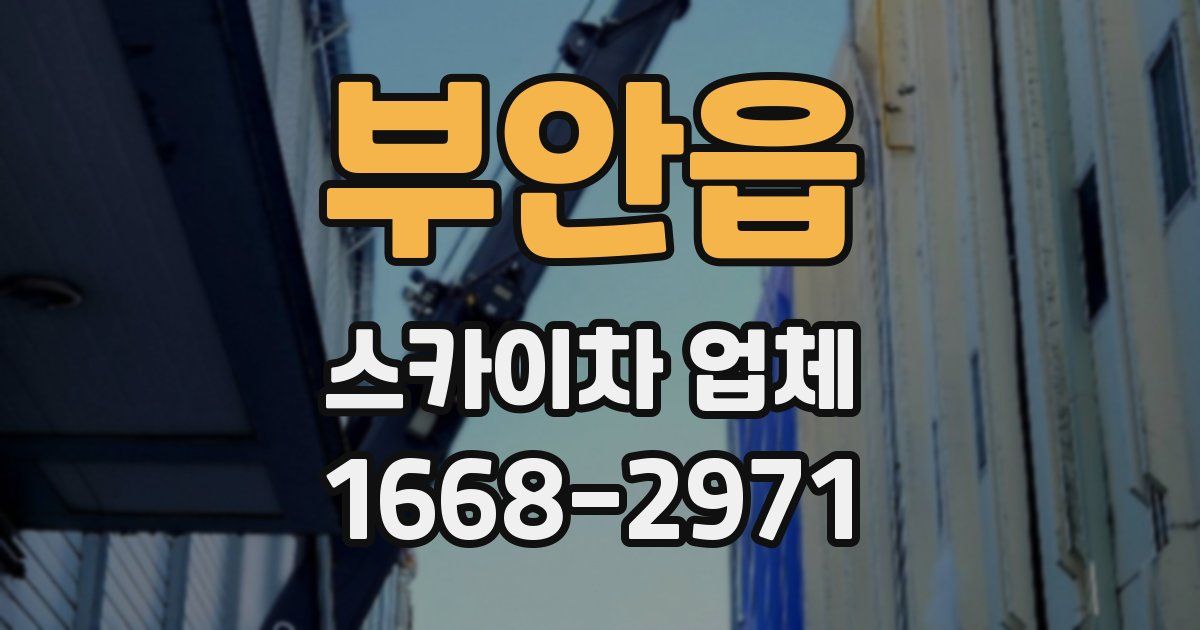 부안읍 스카이차 업체