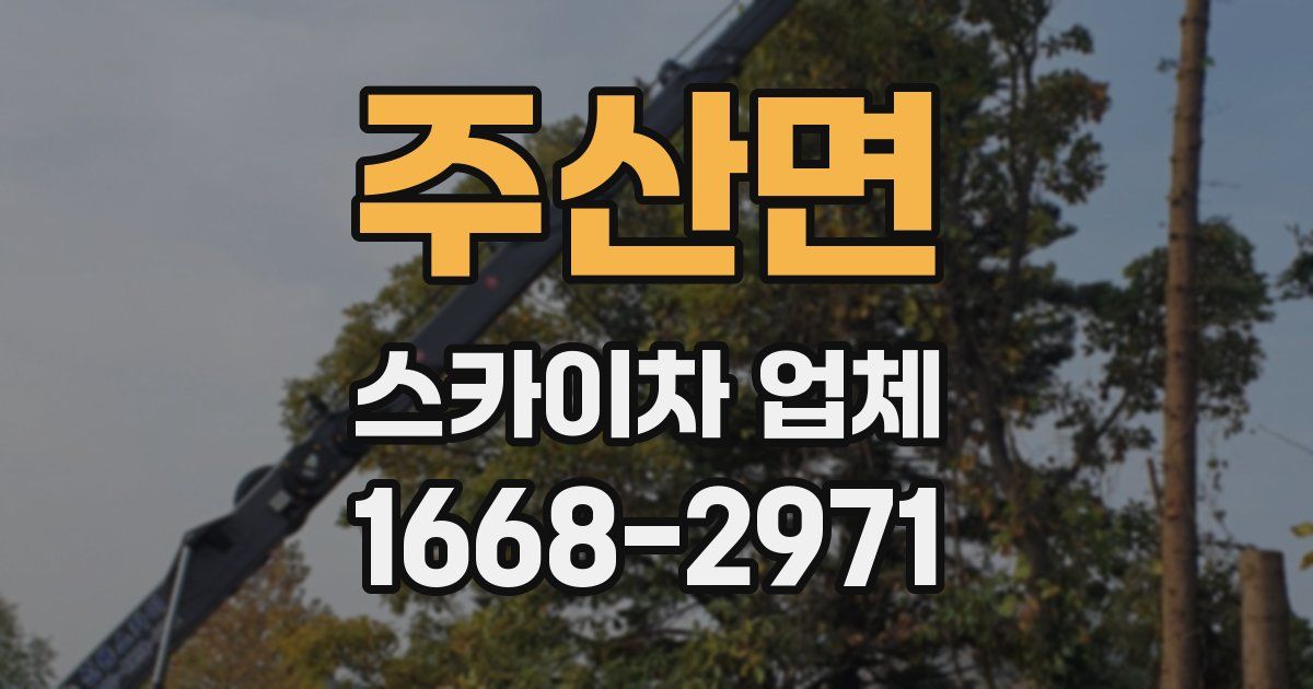 주산면 스카이차 업체