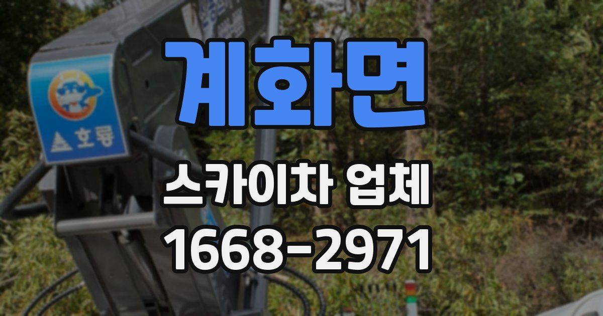 계화면 스카이차 업체