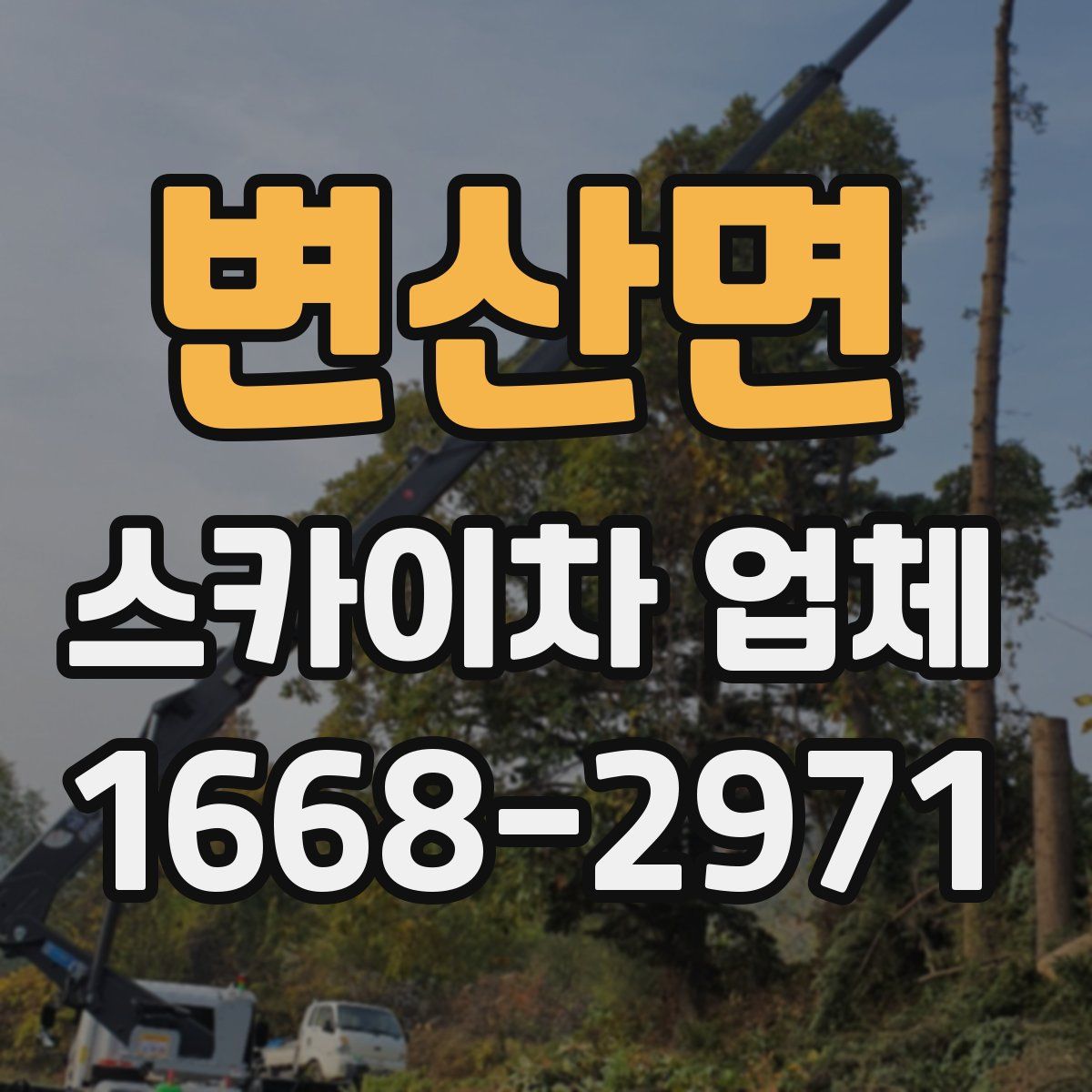 변산면 스카이차 업체