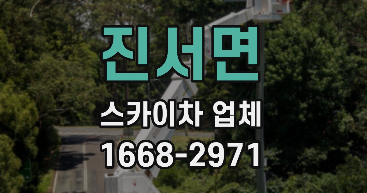진서면 스카이차 업체