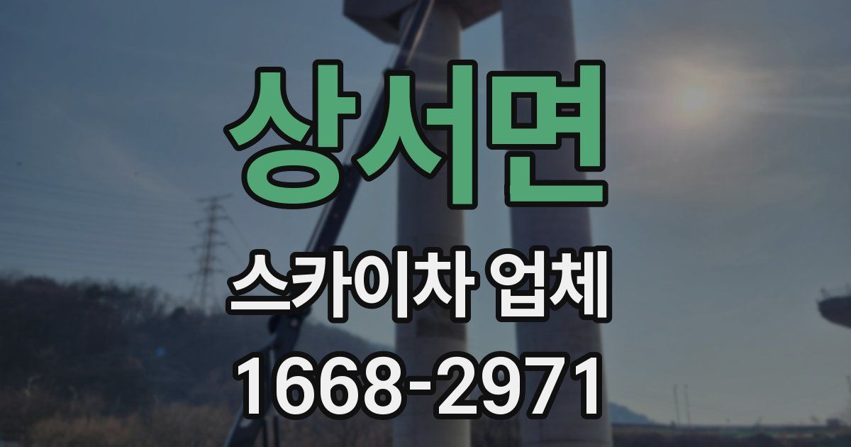 상서면 스카이차 업체
