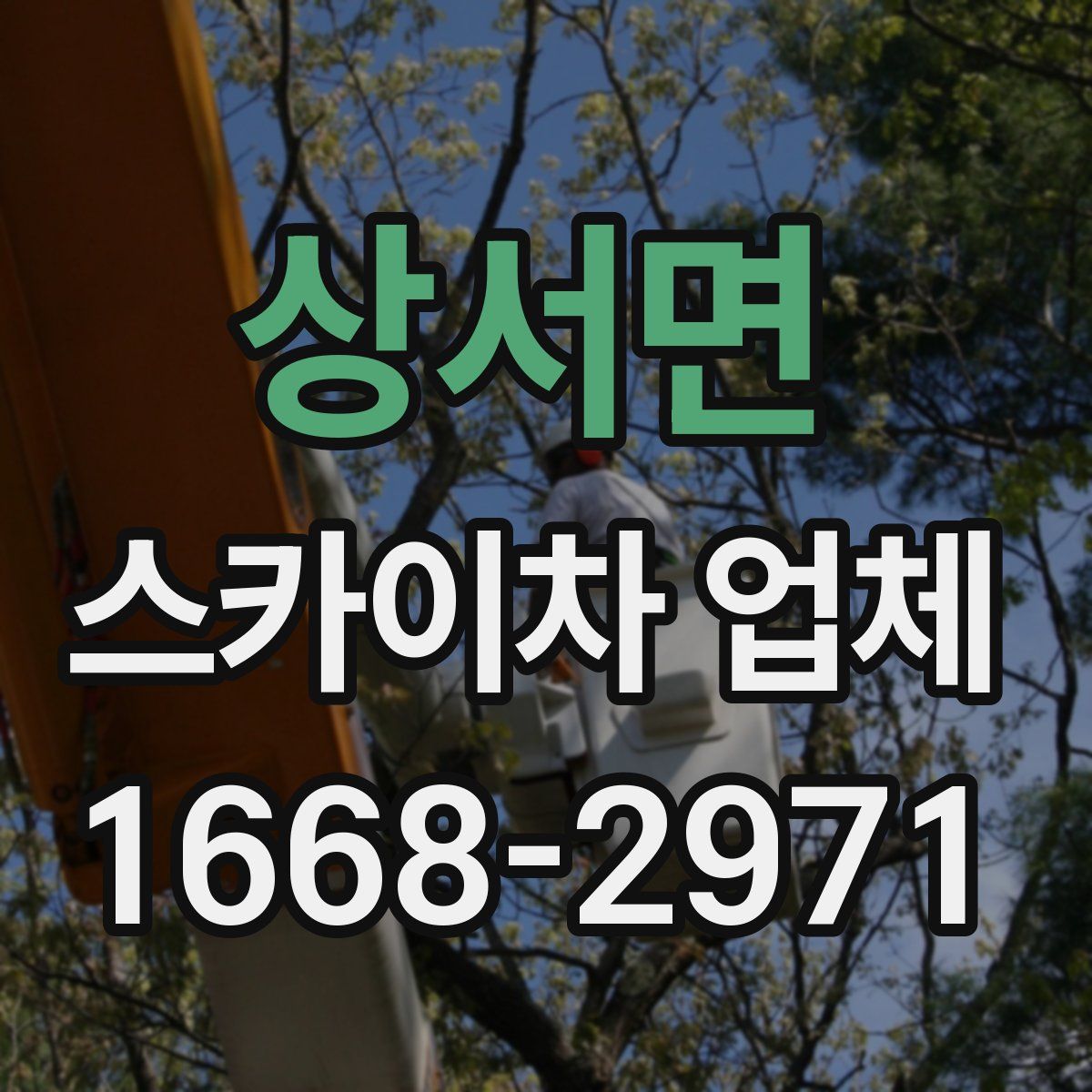 상서면 스카이차 업체