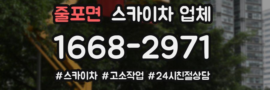줄포면 스카이차 업체