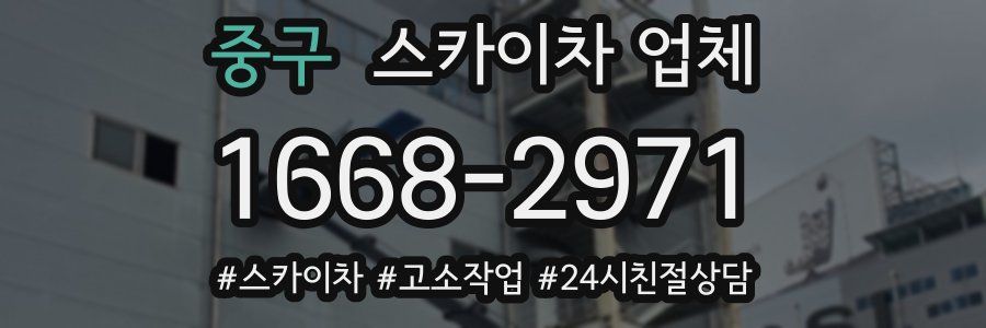 중구 스카이차 업체