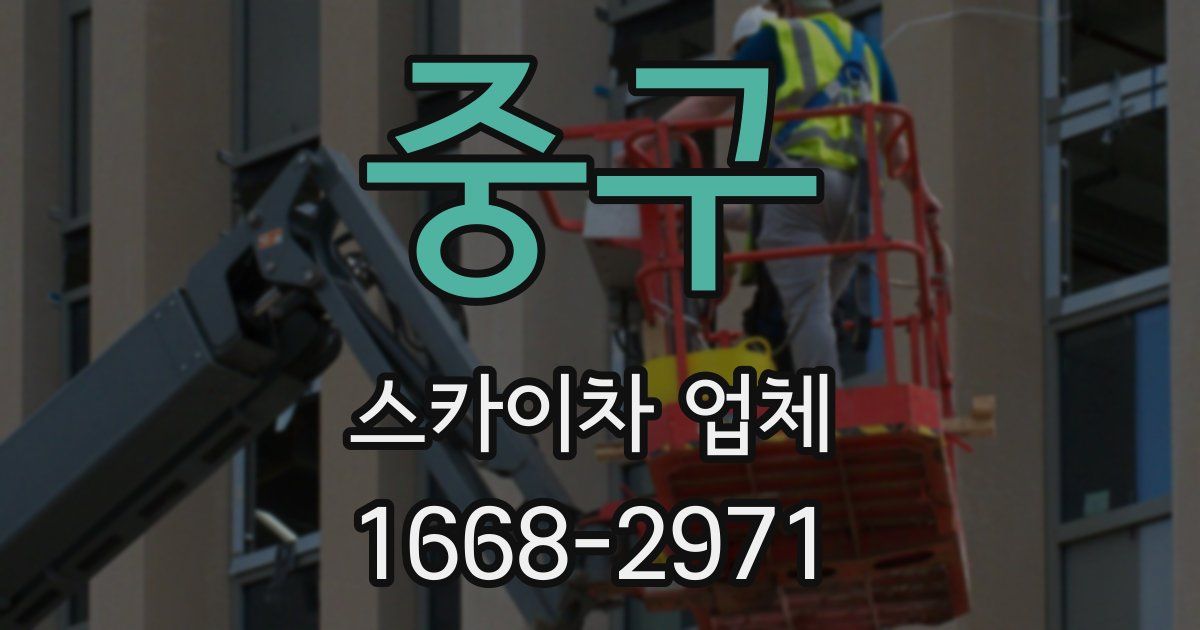 중구 스카이차 업체