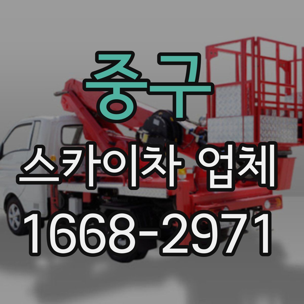 중구 스카이차 업체