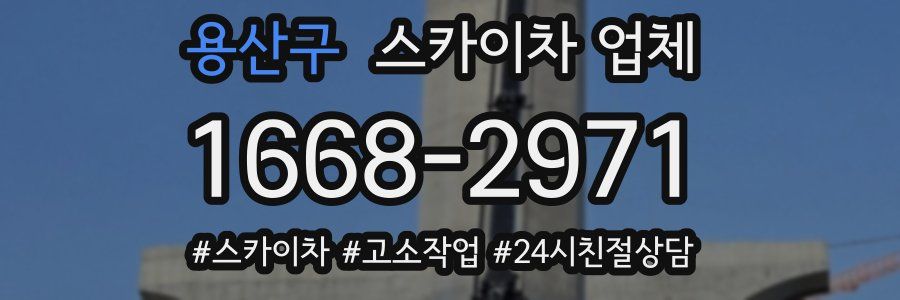 용산구 스카이차 업체