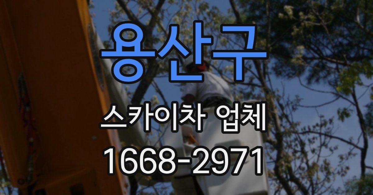 용산구 스카이차 업체