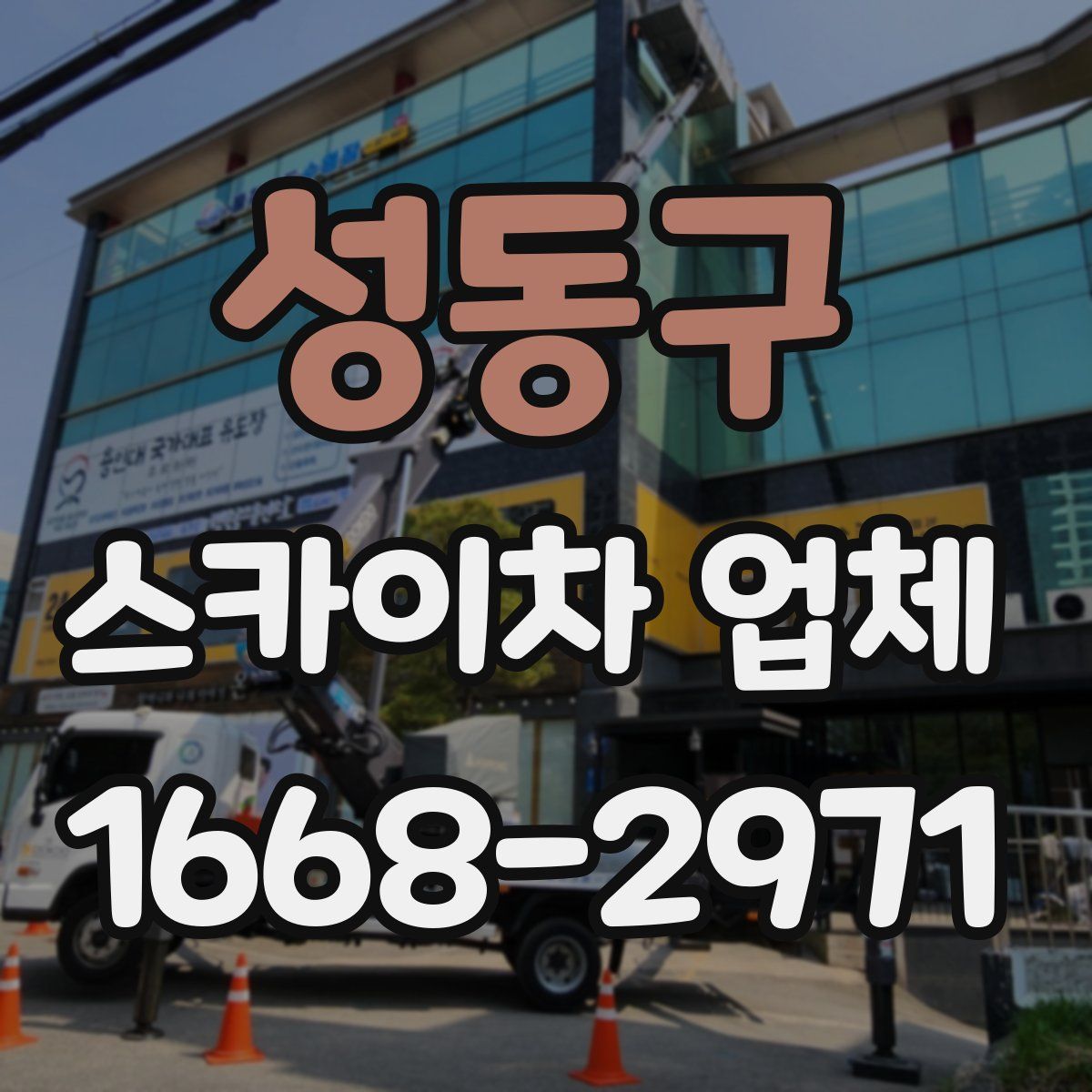 성동구 스카이차 업체