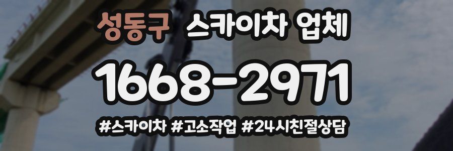 성동구 스카이차 업체