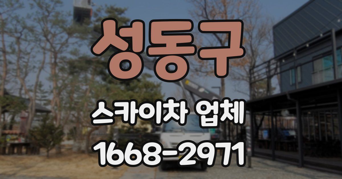 성동구 스카이차 업체
