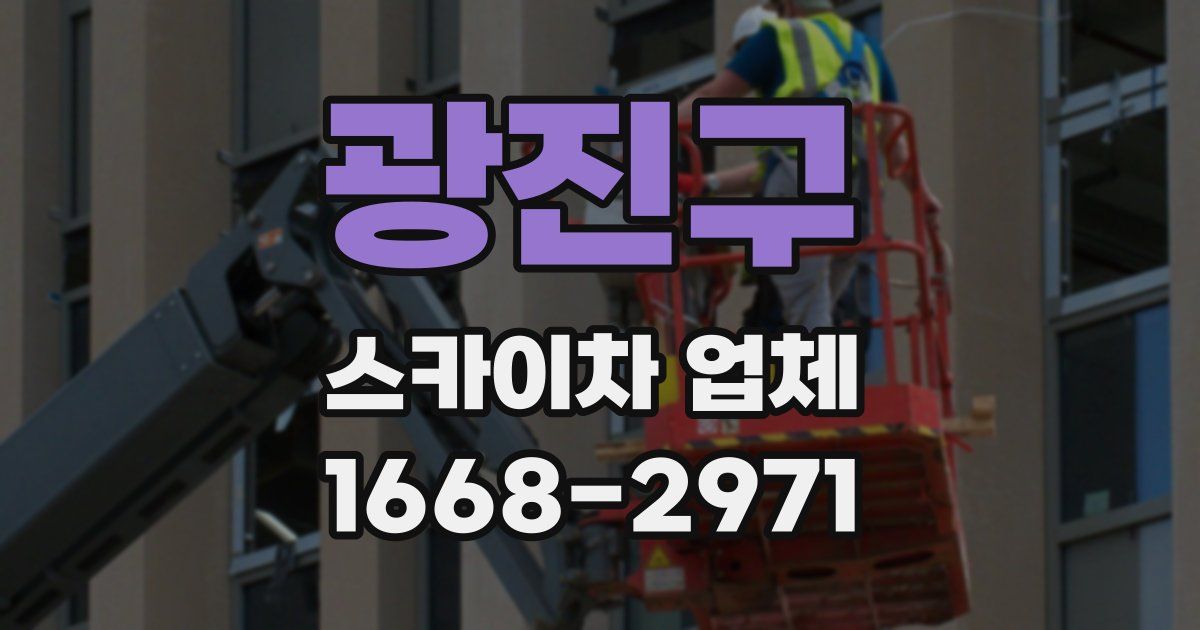 광진구 스카이차 업체