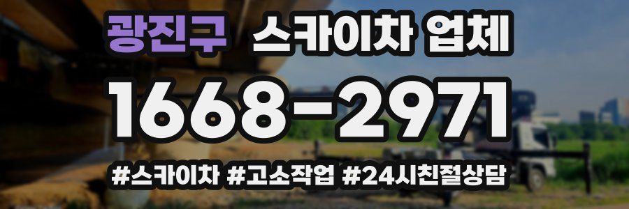 광진구 스카이차 업체