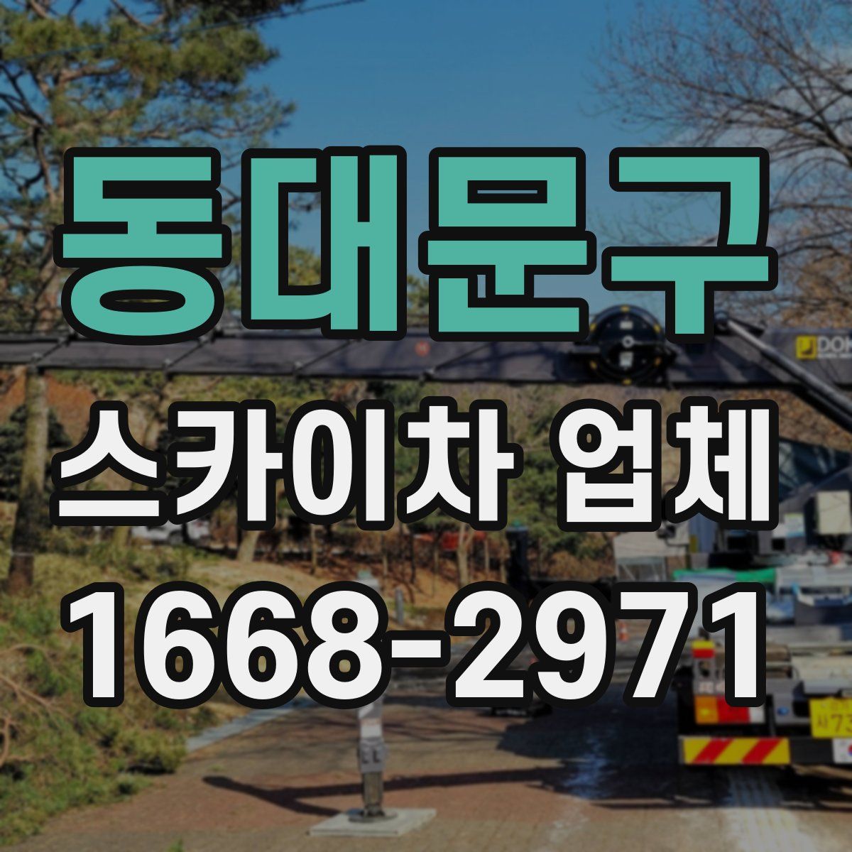 동대문구 스카이차 업체