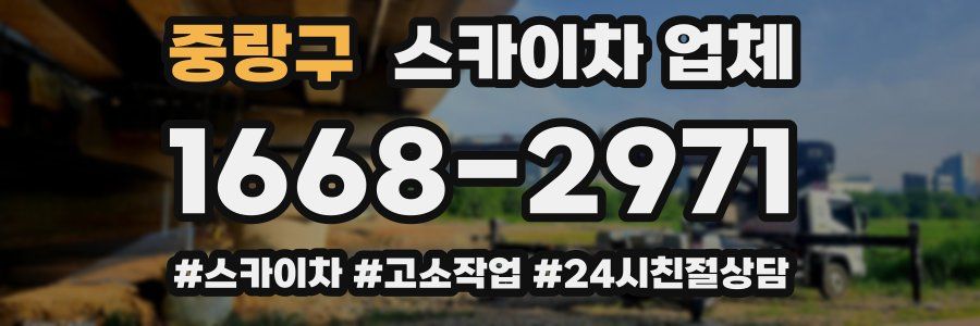 중랑구 스카이차 업체