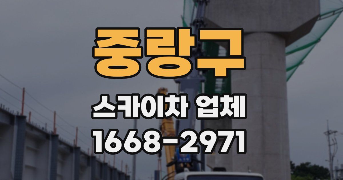 중랑구 스카이차 업체