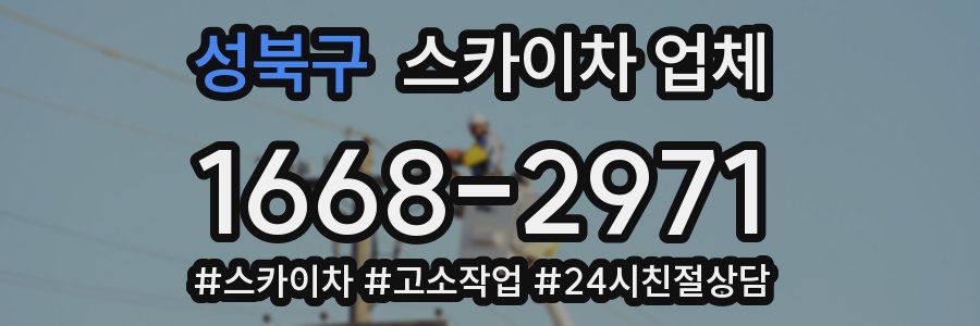 성북구 스카이차 업체
