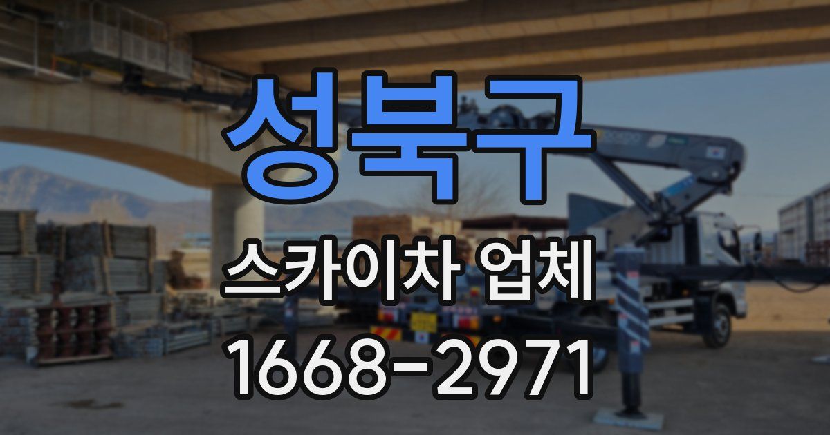 성북구 스카이차 업체