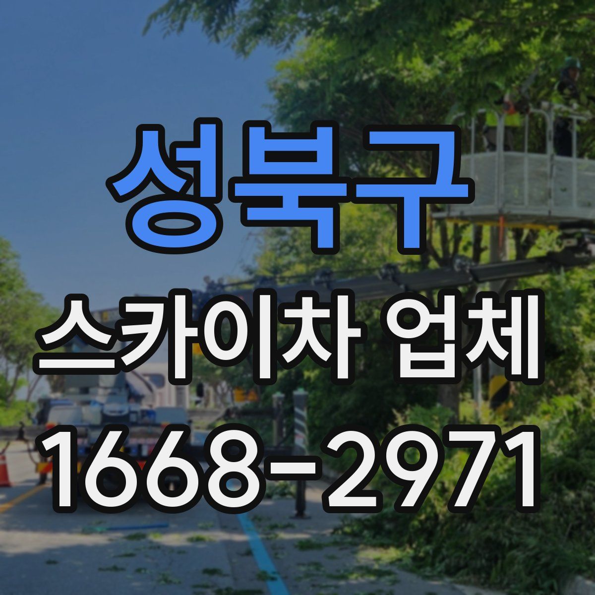 성북구 스카이차 업체